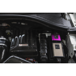 Armaspeed Tapa Batería Fibra Carbono S3 8V / Golf 7 GTI / Golf 7 R / Leon 3 Cupra / Octavia 5E VRS