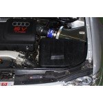 Sistema de admisión de fibra de carbono Gruppe M para Audi S3 8L