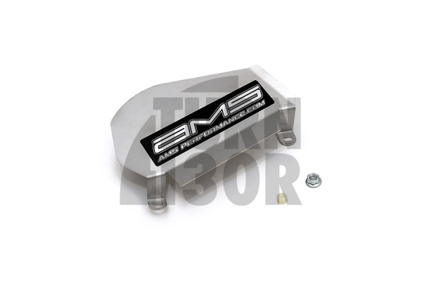 Alpha PerformanceEscudo antisalpicaduras Nissan R35 GTR